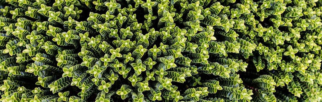 Home2 stratégie de développement durable, pourquoi?